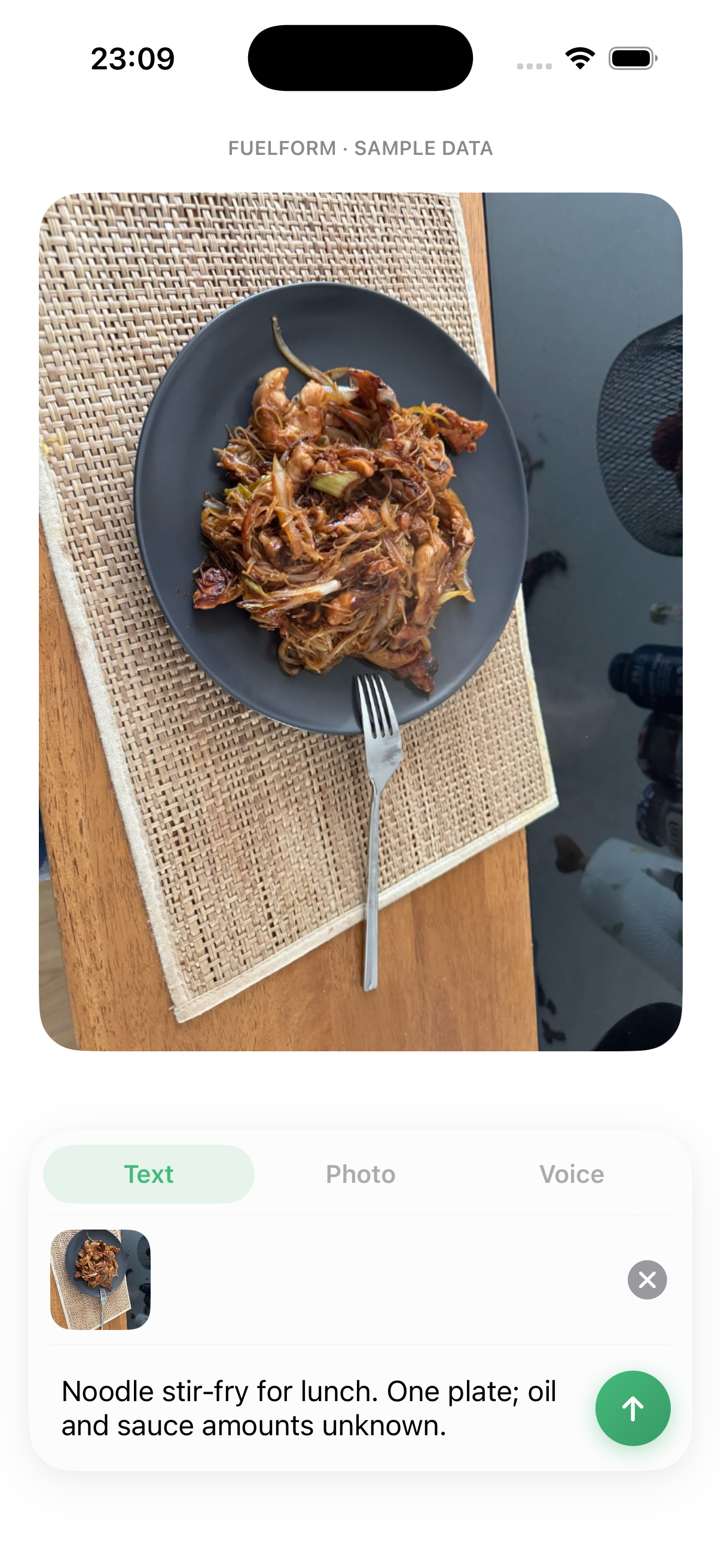 FuelForm photo attachment in the meal composer with optional detail text and the send control