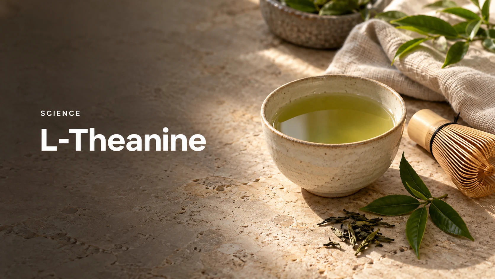 Editorial illustration of green tea, tea leaves and a bamboo whisk for an article about L-theanine